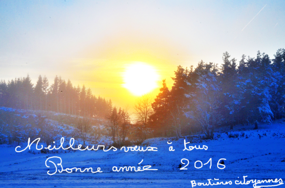 carte de voeux 2016
