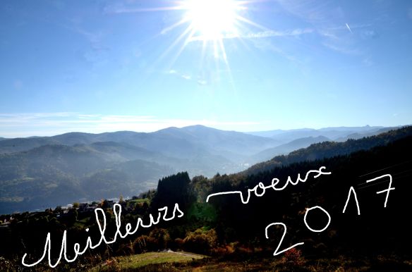 meilleurs-voeuxdsc_0602